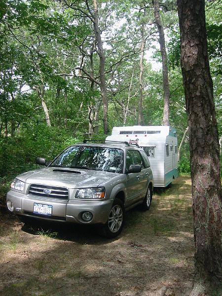 IMG_3721.JPG - Camping in the MA State Forest Preserve Campground in Sandwich MA