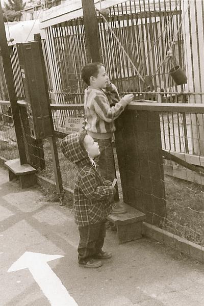 sc0016e8c9.jpg - I forgot about this until Dan told me about it. There is a bear at the other end of the string and tin.  We filled up the tin cup with food, and the bear pulled it up and took the food out of the cup.