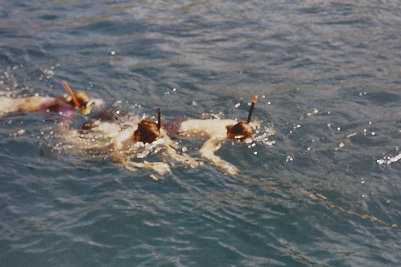 sc000da970.jpg - We learned to snorkel for the first time.  Above Mark, Dan & Kathy snorkeling.