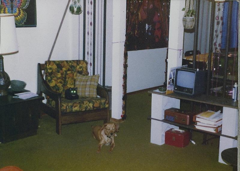 sc00023546.jpg - Mark's Livingroom - Scamper with the glowing eyes - 1976